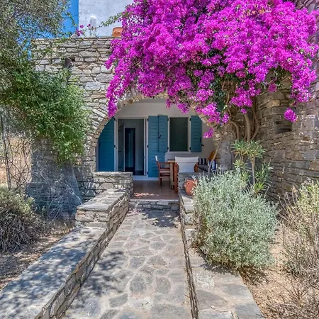 Willa Lefkes Village Living *